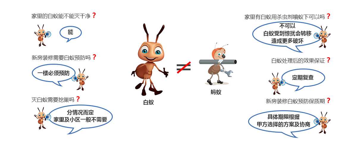 白蚁综合防治服务